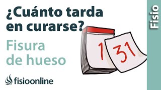 Cuánto tarda en curarse una FISURA DE HUESO