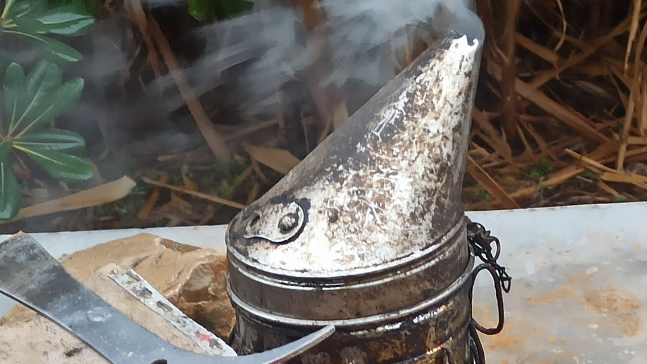 الموسم قريبا كيف يحافظ مربي النحل على نحله