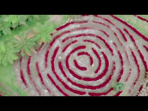 TRI SUAKA Ft. Putry Pasanea - janji putih (Official Music Video)