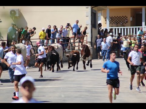Rápido encierro de Charro de Llen en Saucelle
