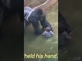 Criança Caiu Na Jaula Do Gorila Shorts Gorillatag Gorilla Gorilla Macaco Crianças
