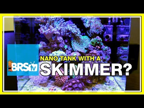 FAQ #11: Is a skimmer necessary on a nano reef aquarium? | 52 FAQ