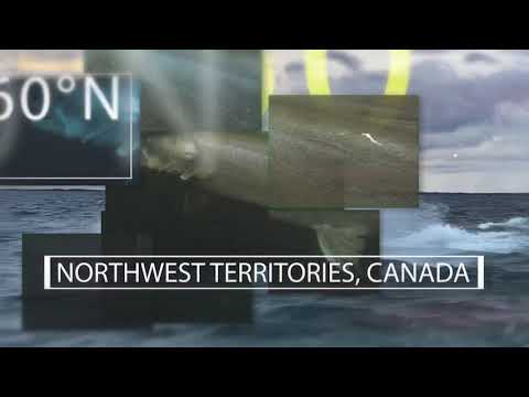 Fish’N The Arctic - Season 2 - Episode 3 - Trailer