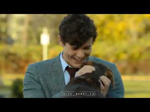 #Dogs #Love #Shorts #Status #Whatsapp #2021 #animal #August #songs #ajith #thala