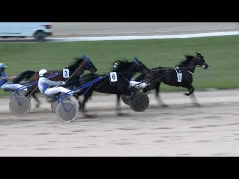 2019.06.02. 06. futam - VIRÁGOS DÍJ