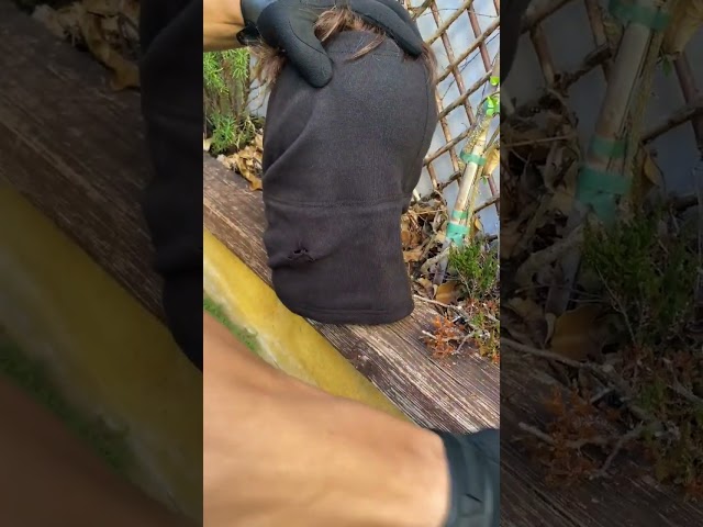 Vídeo relacionado con ROMA RETAIL Braga Polar Cuello, Braga Térmica, Ajustable con Cordón, Hombre, Mujer (Rojo)