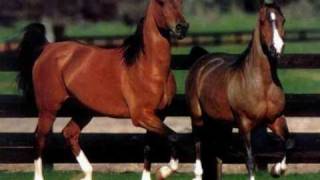 Barry Gibb - Broken Bottles