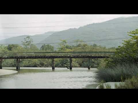 TEASER MANGUE-BRANCO