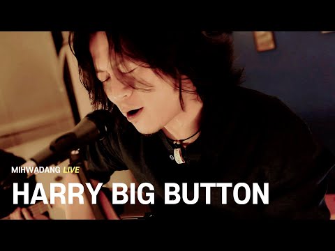 해리빅버튼 HARRY BIG BUTTON  / Control [MIHWADANG LIVE]