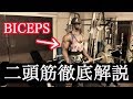 【7 days out】上腕二頭筋をでかくするなら40分で十分!?
