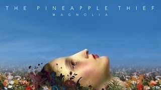 The Pineapple Thief - Magnolia (instrumental edit) (EXCLUSIVE PROMO 2014)