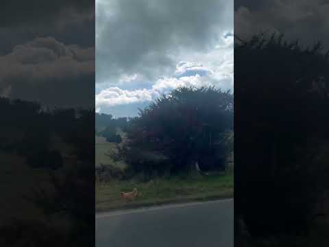 Vías de Susa Cundinamarca #colombia #automobile #viajeinolvidable #viajes #travesia