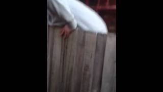 Jumpin the fence