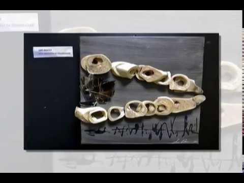 riproduce video in popup