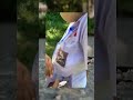 Perpisahan Coret Coret Baju