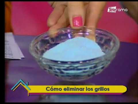 Cómo eliminar los grillos 
