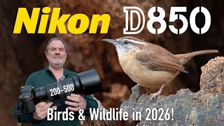 Nikon D850 in 2026 for Bird & Wildlife with 200-500mm Lens!