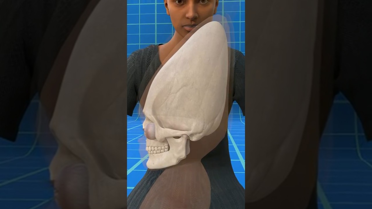 How Mayans Shaped Heads in Their Culture 😱