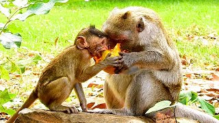 LOOK! JANE IS KINDLY MOM//SHE LET TO EAT FRUIT WITH HER, COS JANE LOVE JODY AND JODY LOVES JANE TOO