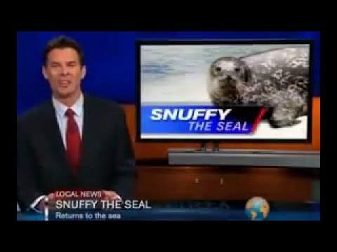 Snuffy the Seal