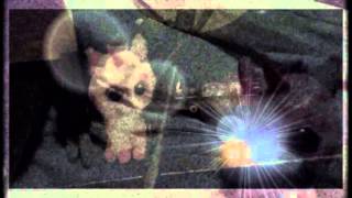 Music for Headphones- VIVA!!!