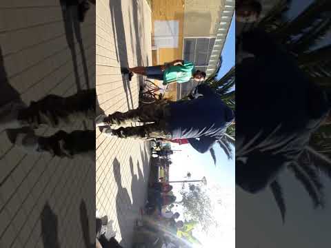 JHL VS JF VS ALEXTASIS