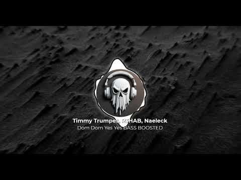 Timmy Trumpet, R3HAB, Naeleck - Dom Dom Yes Yes 👻 BASS BOOSTED