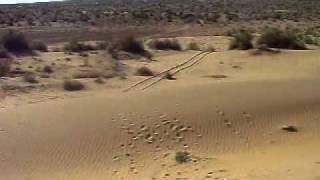 preview picture of video 'Jaisalmer Desert part 2'