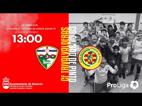 CF TrivalValderas Alcorcón  ( Alevín A F11 ) vs CD CIUDAD DE PINTO ( Alevín A F11 )