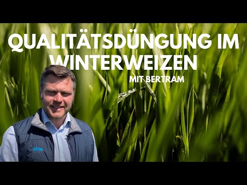 Von Experten für Profis: Qualitätsdüngung im Weizen