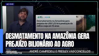 Desmatamento na Amazônia gera prejuízo de mais de 1 bilhão de dólares ao agro em 13 anos