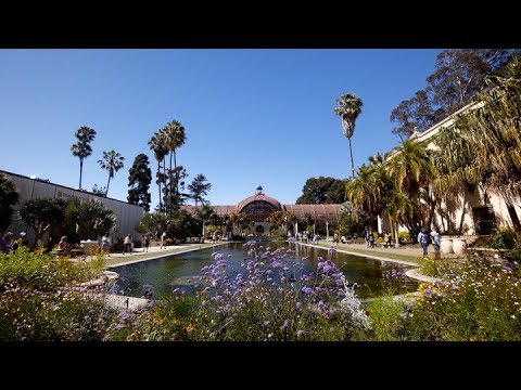 Ronin S with a7 III Balboa Park