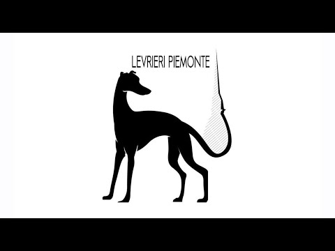Levrieri Piemonte ODV - Arrivo Greyhound 1 Ottobre 2023