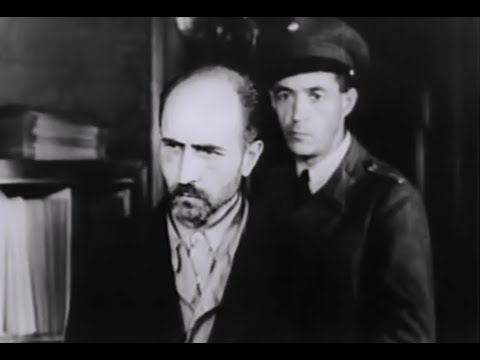 Maximilian Grabner Auschwitz manuscript