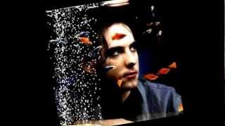 The Perfect Boy-The Cure (Lyrics)