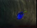 Finding Nemo Whale Scene