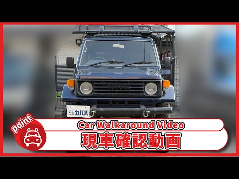 トヨタ ランドクルーザー70 ZX 1995年式 中古車詳細 | プロに任せる