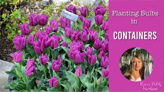 Planting Bulbs in containers Metal Tubs