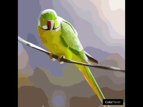 Video cover