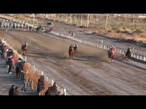 TARZAN  Club Hípico Añelo - Añelo - 16-07-2023