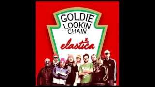 Elastica vs Goldie Lookin&#39; Chain - 21 Oz Connection