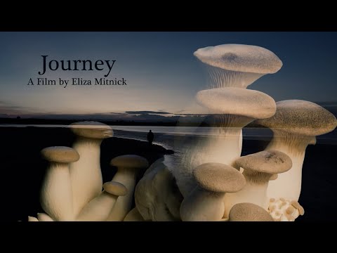 FilmFest 2023 | Journey - Trailer | Eliza Mitnick