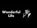 Peaky Blinders - Wonderful Life | Lyrics