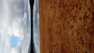 Gonna Leave by Emma Forman