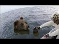 50 Animales Que Pidieron Ayuda y Bondad a la Gente ! | ¡Lo Mejor Del Año! DEFAULT Thumbnail