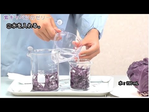 【群馬ちびっこ大学】夏休みの化学料理教室
