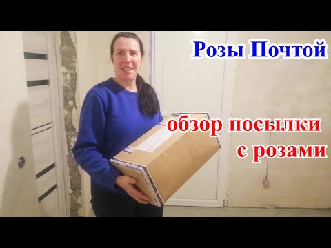 Обзор посылки