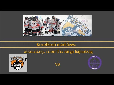 U12 Sárga bajnokság Veszprémi Jéglovagok - UTE-B