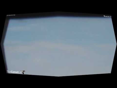 Cornell RTHA Cam  Love Is A Many Splendored Thing!  1:27 pm  3.10.14_