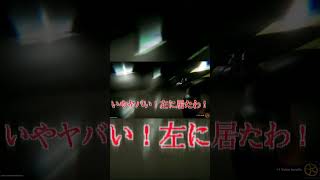 [Inside The Backrooms]所詮他人は自分が助かるためのベイト